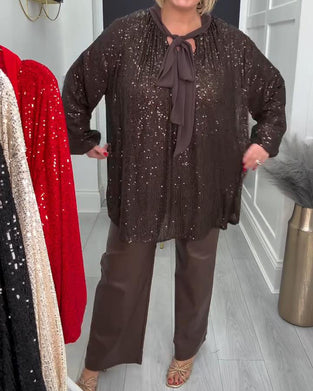 Ensfarvet Løstsiddende Bluse Med Lanternearmer